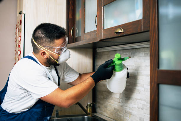 Best Insect Control  in Maple Grove, MN