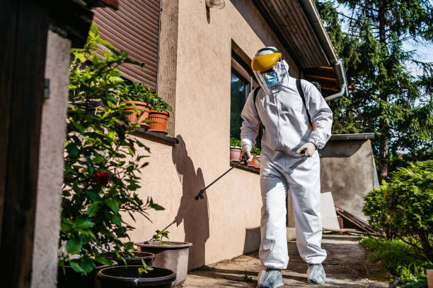 Best Pest Control Near Me  in Maple Grove, MN