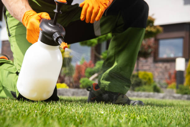 Best Mosquito Control Services  in Maple Grove, MN