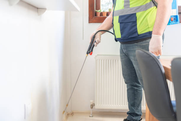Best Flea Control Services  in Maple Grove, MN