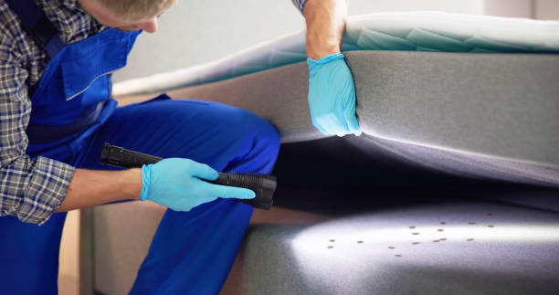Best Best Pest Control Companies  in Maple Grove, MN