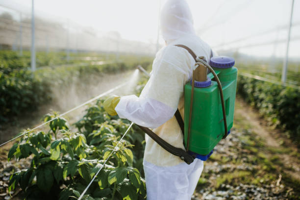 Reliable Maple Grove, MN Pest Control Solutions